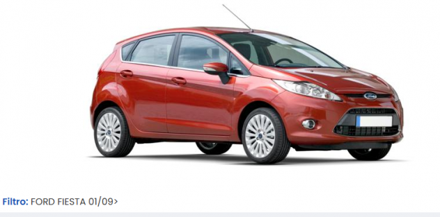 MUSATA COMPLETA MUSO FRONTALE FORD FIESTA 2010