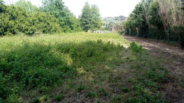 Agricolo in vendita a Buggiano - Foto 5