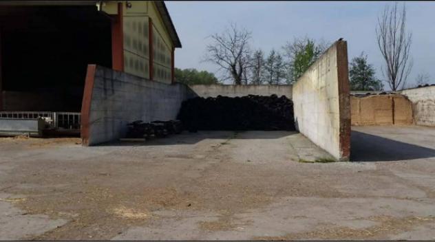 Immobile in asta di 43305 m² in vendita a Camisano - Foto 3