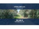 Immobile in asta di 22562 m² in vendita a Cavallino