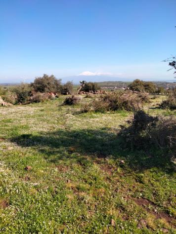 Terreno in vendita a Francofonte - Foto 8