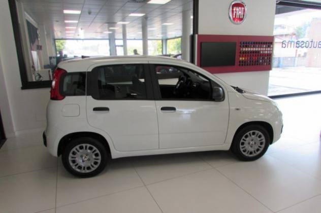 FIAT Panda 1.0 FireFly 70cv S&S Hybrid ICON KMZERO rif. 23983973 - Foto 3
