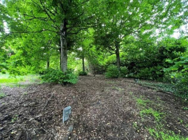 Immobile in asta di 512 m² con più di 5 locali in vendita a Moncalieri - Foto 4