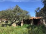 Azienda agricola in vendita a Capichera - Arzachena 250 mq Rif: 1370417