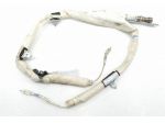 AIRBAG A TENDINA LATO SINISTRO JEEP Renegade Serie 00520901510 (1418)