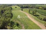 TERRENO AGRICOLO di 31444 mq (ASOLO) rif. SW186
