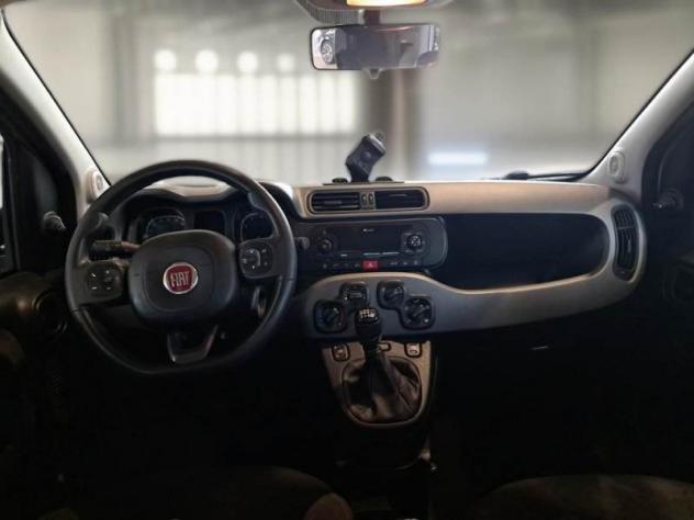 FIAT Panda Panda 1.0 firefly hybrid City Life s&s 70cv - Foto 7