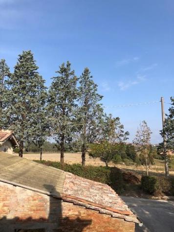 Casa semindipendente in vendita a Siena 250 mq Rif: 839732 - Foto 7