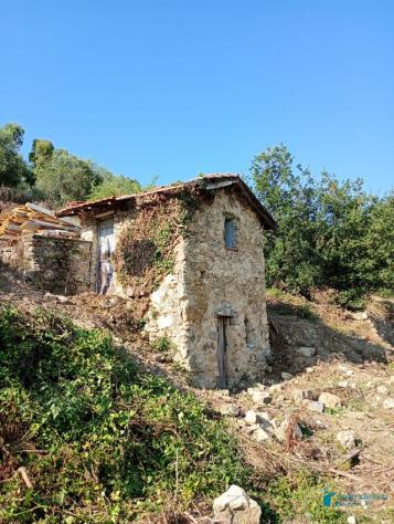 Vallebona VENDESI RUSTICO CON GIARDINO PRIVATO