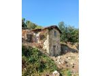 Vallebona VENDESI RUSTICO CON GIARDINO PRIVATO