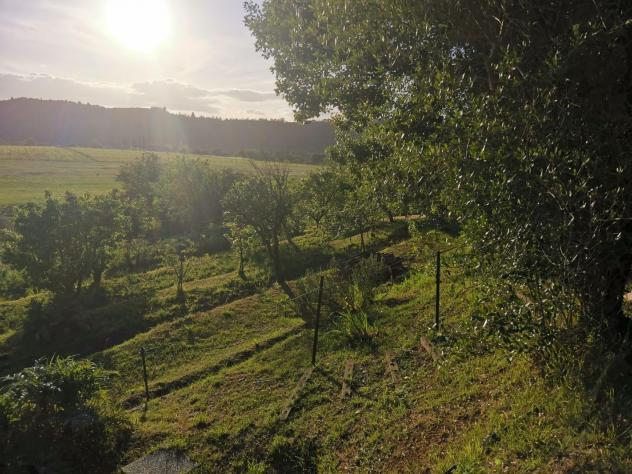 Terreno agricolo in vendita a Poggibonsi 3500 mq Rif: 1335508 - Foto 7