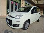 Fiat Panda 1.3 MJT 80 CV Lounge autocarro