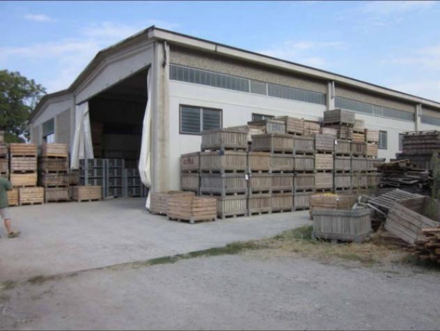 Immobile in asta di 2886 m² in vendita a Voghera - Foto 9