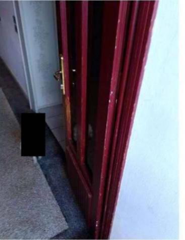 Immobile in asta di 211 m² con più di 5 locali in vendita a Caneva - Foto 15