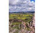 Solo per chi pensa in grande …