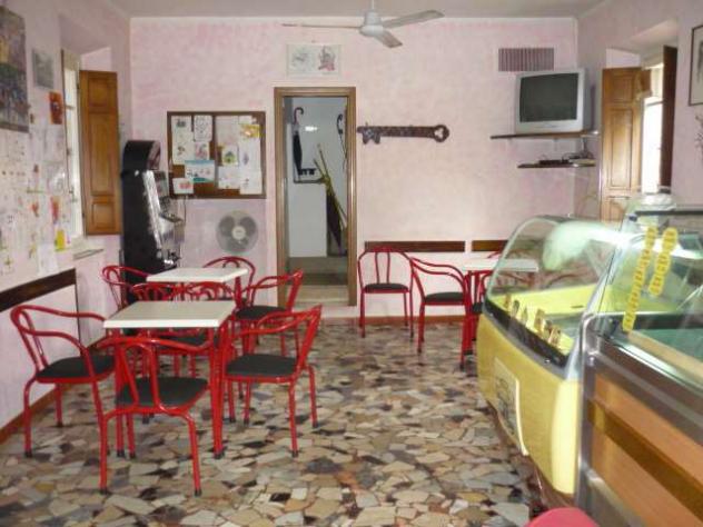 Fondo capa 240 - Negozio a Capannori - Foto 2