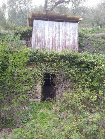 Alassio, terreno collinare vista mare, con piccolissimo rustico. - Foto 3