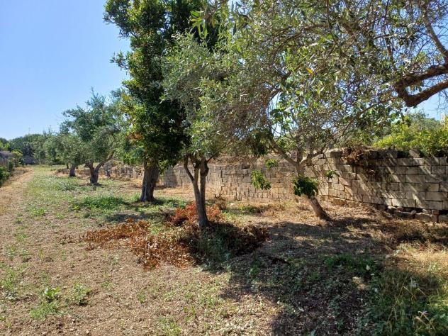 Terreno in vendita a Pachino - Foto 4