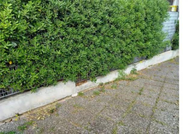 Immobile in asta di 105 m², box auto in vendita a Rodi Garganico - Foto 6