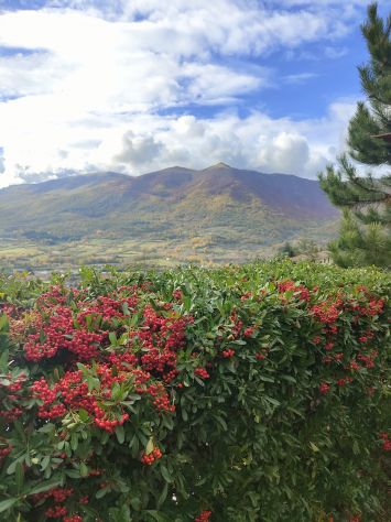 La tua vacanza da sogno - Foto 3