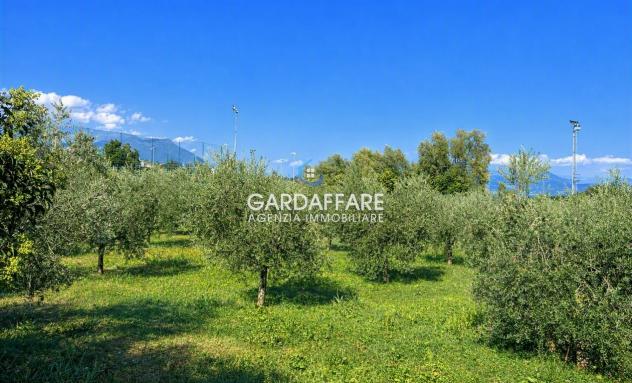 TERRENO AGRICOLO CON ULIVI A POLPENAZZE DEL GARDA