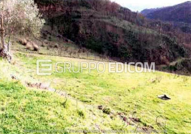 Fabbricato di 376.5 mq in vendita a Cosenza - Rif. 4542368 - Foto 5
