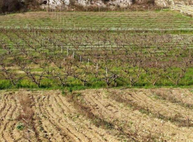 Immobile in asta di 40 m² in vendita a Canicattì - Foto 4