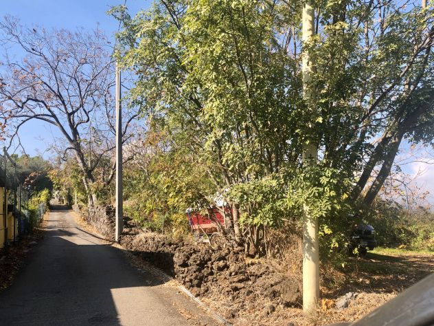 Vendesi terreno agricolo a Santa Venerina strada provinciale - Foto 5