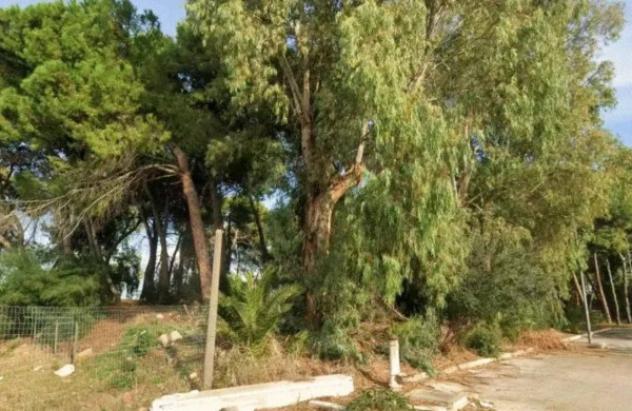Immobile in asta di 2544 m² in vendita a Taranto - Foto 3