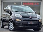 FIAT Panda 1.0 FireFly Hybrid Pandina - NO VINCOLI rif. 23709705