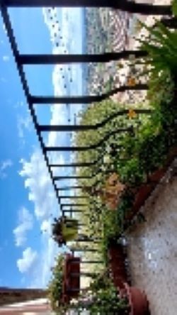 Vendo appartamento nel centro storico di Amelia (TR) in Palazzo Petrignani. - Foto 3