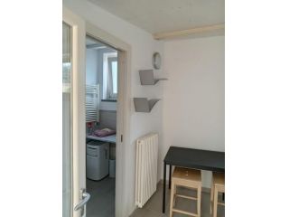 Appartamento in affitto a Marina di Carrara - Carrara 40 mq  Rif: 1273474