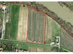 Terreno agricolo in vendita a Cascina 20000 mq  Rif: 839560