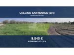 Immobile in asta di 17164 m² in vendita a Cellino San Marco