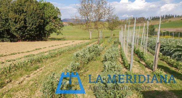 Terreno agricolo in vendita a Cerreto Guidi 21500 mq Rif: 1071586 - Foto 6