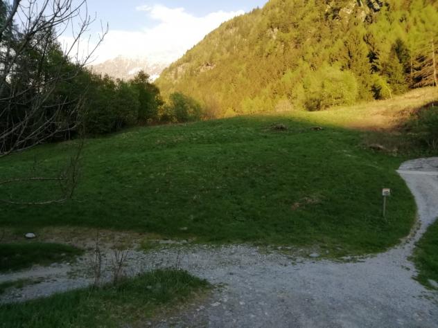 IMMERSO NEL VERDE - Foto 4