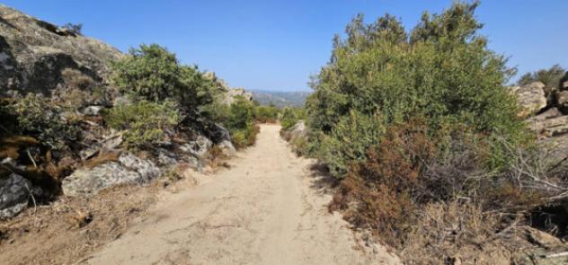 Immobile in asta di 102 m² in vendita a Olbia - Foto 5