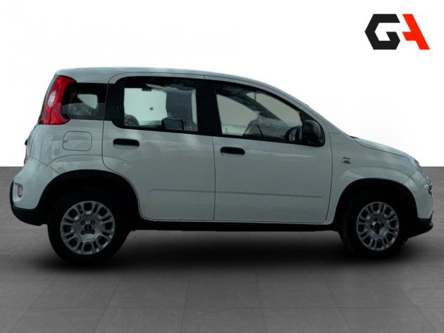 FIAT Panda 1.0 FireFly 70cv S&S Hybrid - Foto 8