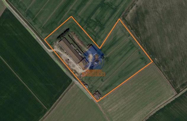 Cervia capannone con 2 ettari di terreno