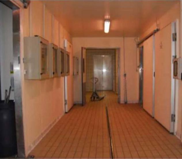 Immobile in asta di 5840 m² in vendita a Montefalco - Foto 4