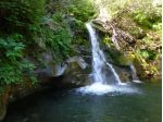 Sant'Anna Pelago  immerso nel verde bilocale con terrazza