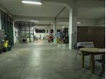 Oleificio con terreno