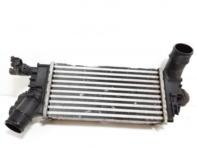 INTERCOOLER FORD Puma Serie L1BG6D624AB B7JA, B7JB Hybrid 1000 (19)