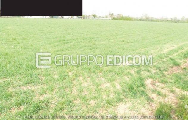 Terreno di 23912 mq in vendita a Paese - Rif. 4549347 - Foto 2