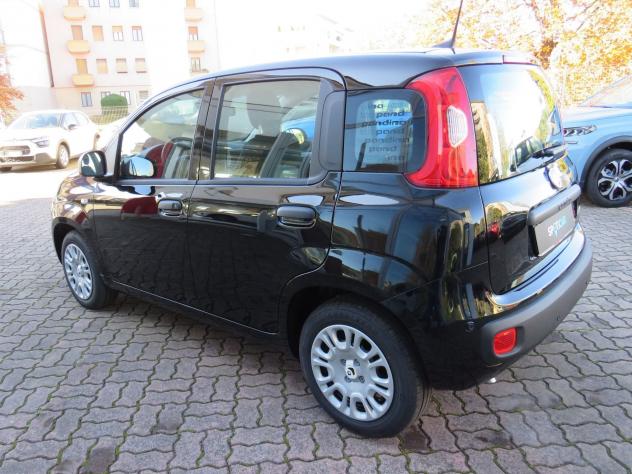FIAT Pandina 1.0 FireFly 65cv S&S 6m Hybrid Icon - Foto 7