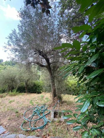 Villa in vendita a Carrara 250 mq Rif: 1222072 - Foto 5