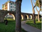 Locale comm.le/Fondo in affitto a Pisa 35 mq  Rif: 1090032