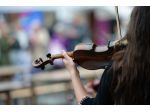 Violinista Bergamo