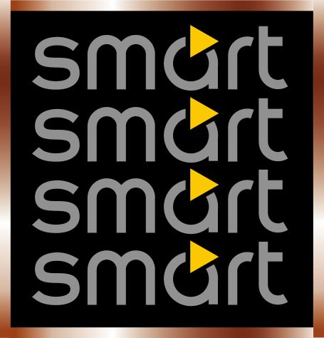 Adesivi tuning auto logo smart