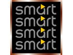 Adesivi tuning auto logo smart